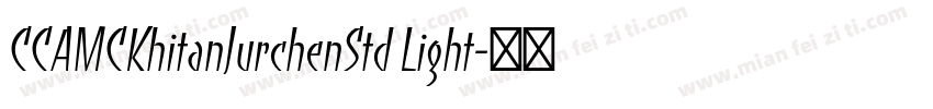 CCAMCKhitanJurchenStd Light字体转换